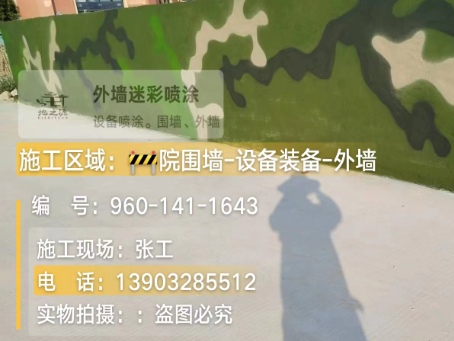 河南 迷彩漆喷涂价格（按平方米计费）